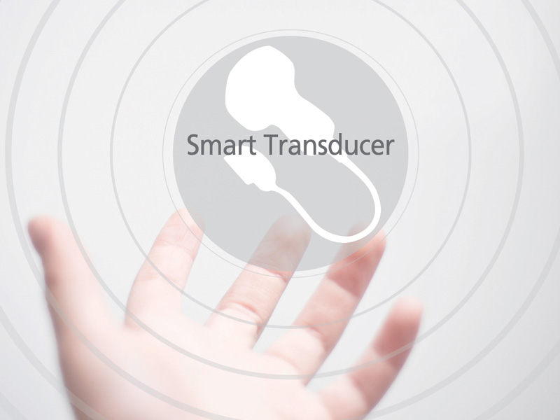 Smart Transducer